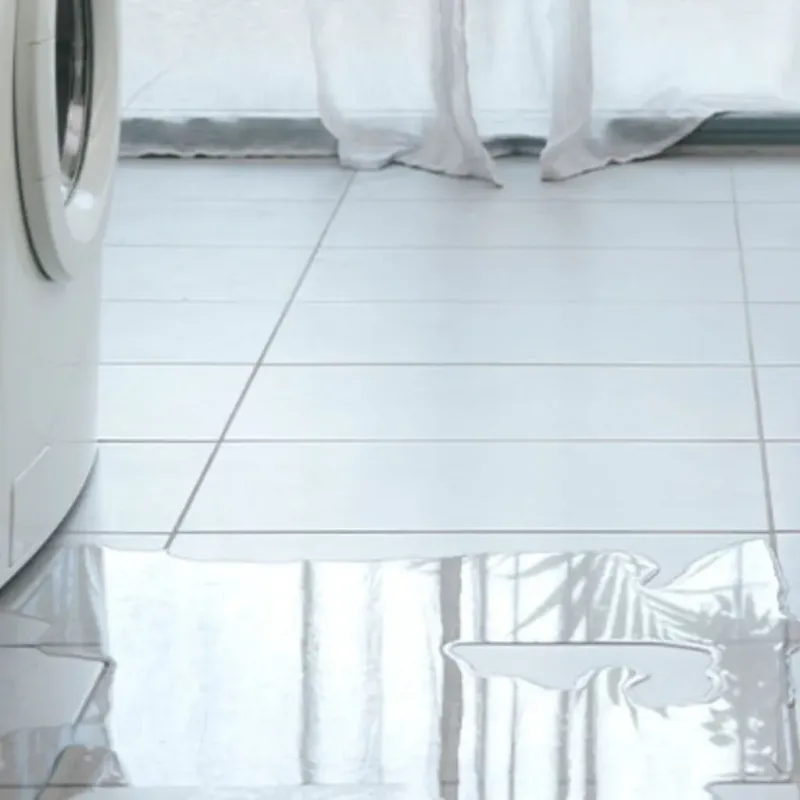 Appliance Leak Cleanup in Warm Mineral Springs, FL