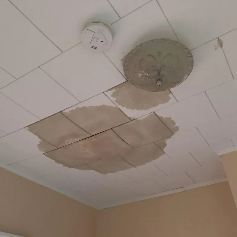 Ceiling Water Damage Repair in Warm Mineral Springs, FL