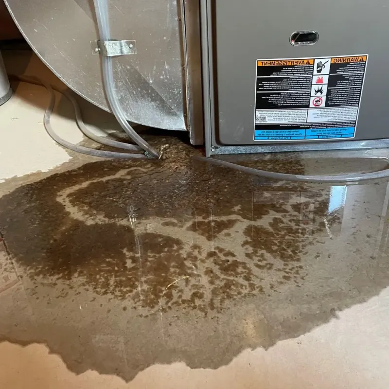 Pipe Burst and Leak Restoration in Warm Mineral Springs, FL