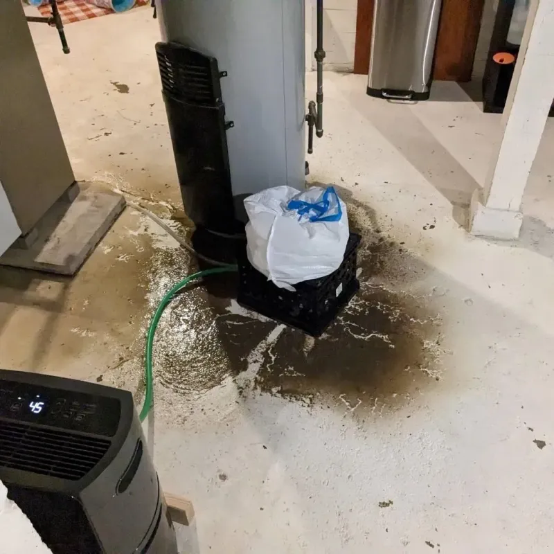Sewage Backup Cleanup Service in Warm Mineral Springs, FL